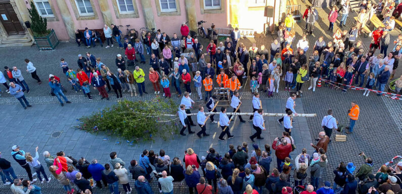 Eine Tradition wird fortgeführt: Maibaumfest wieder am 30. April auf dem Bückeburger Marktplatz