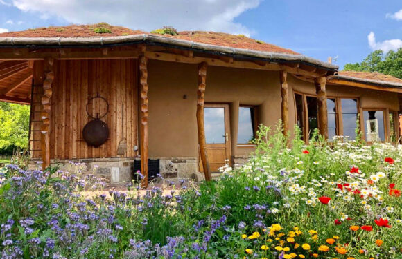 Im Schaumburger Bienenhaus beginnt die Saison 2024