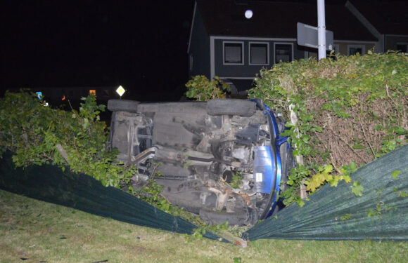 Bückeburg: Autofahrer schläft am Steuer ein und landet in einer Hecke