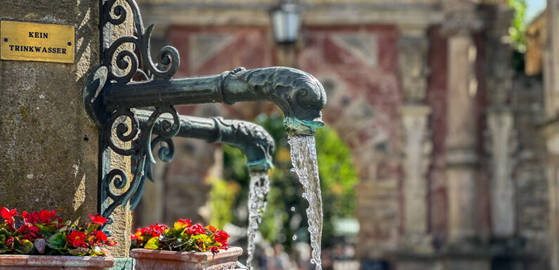 Gästeführung: „Krieg und Frieden“