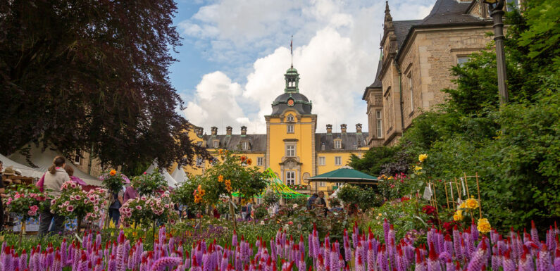 „Zuhause in Schaumburg“: 25. Landpartie auf Schloss Bückeburg