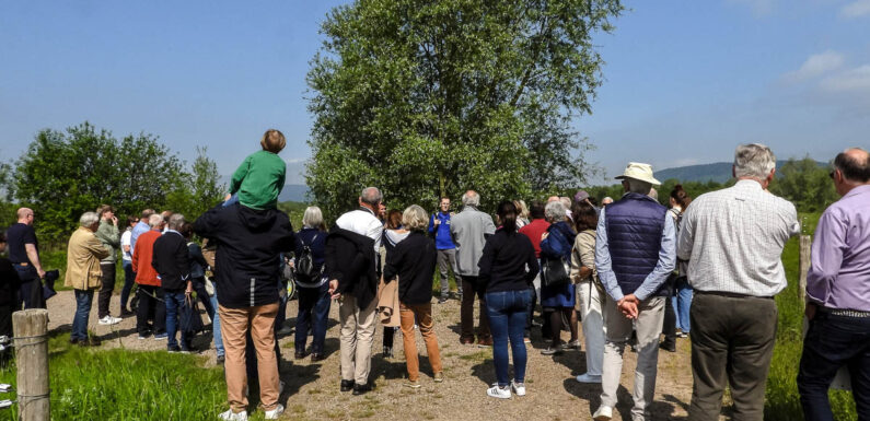 Rotary-Mitglieder aus Bückeburg und Sablé zu Gast in der Auenlandschaft Hohenrode