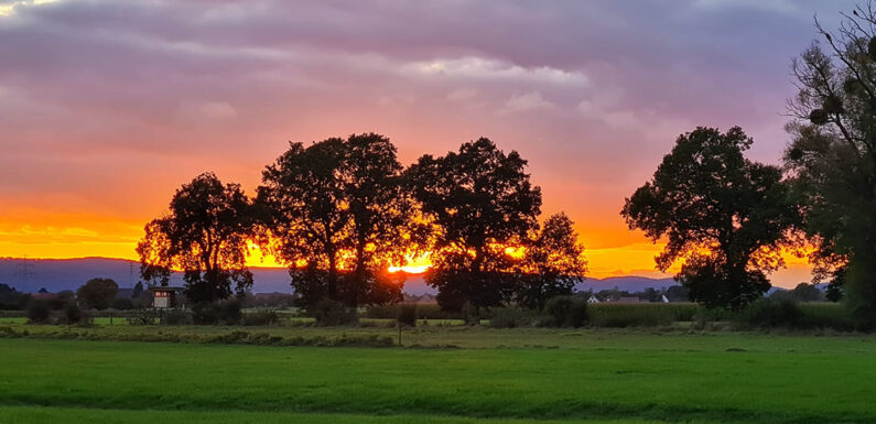 „Auf dem Weg zu Dir“: Pilgerwanderung, Sigwardsweg Etappe 3 von Bückeburg nach Obernkirchen