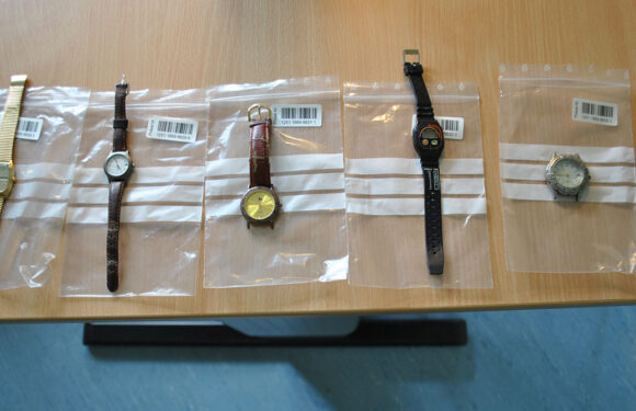 Polizei schnappt Einbrecher und Komplizen nach Einbruch in Bückeburg