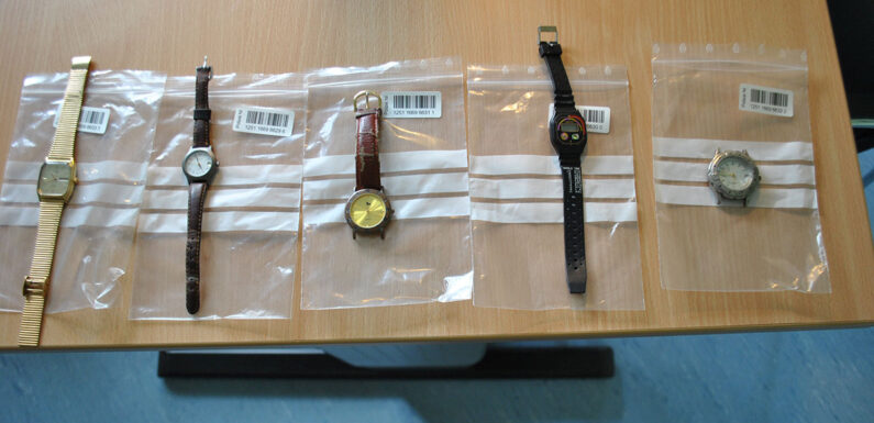 Polizei schnappt Einbrecher und Komplizen nach Einbruch in Bückeburg