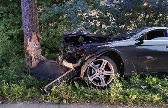 Frontal gegen einen Baum: Mercedes-Fahrer wird bei Unfall in Lauenhagen leicht verletzt
