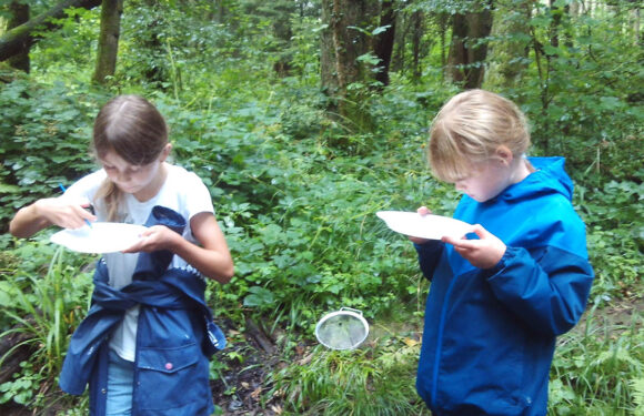 Bückeburger „Bachdetektive“ unterwegs in Wendthagen