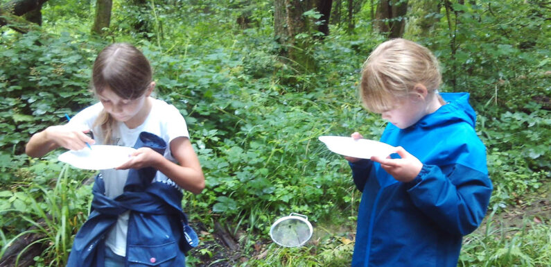 Bückeburger „Bachdetektive“ unterwegs in Wendthagen