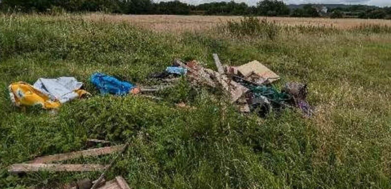 Müll entsorgt: Erneut Umweltverschmutzung in der Bückeburger Niederung