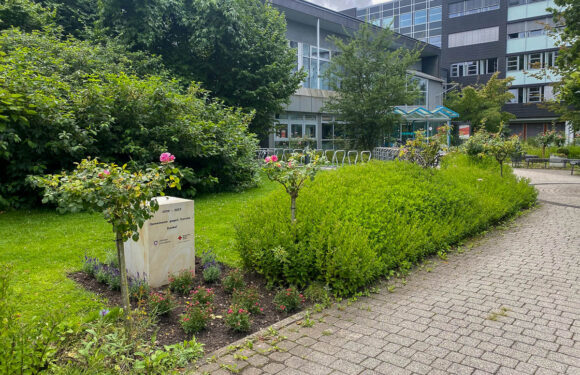 Sandsteinquader vor dem Sitzungssaal des Landkreisgebäudes erinnert an Corona-Pandemie