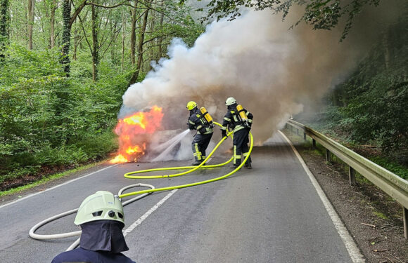 Hagenburg: PKW gerät auf Landesstraße 445 in Brand