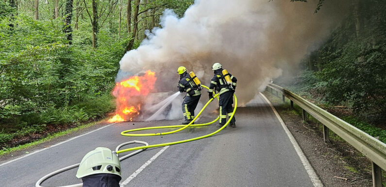 Hagenburg: PKW gerät auf Landesstraße 445 in Brand