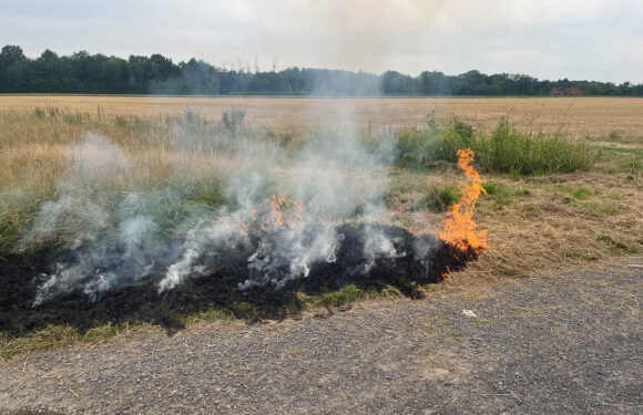 Stadthagen: Flächenbrand sorgt für Feuerwehreinsatz im Falkenweg