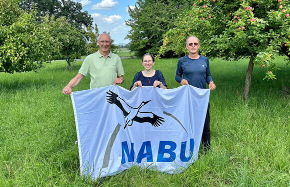NABU mit neuen Vorständen / Weitere Aktive gesucht für Auetal und Sachsenhagen