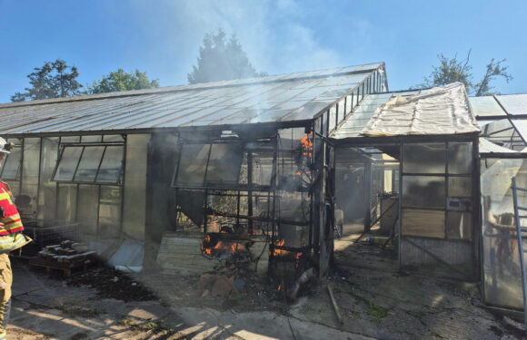 Feuerwehreinsatz in Stadthagen: Brand im Gewächshaus einer Gärtnerei