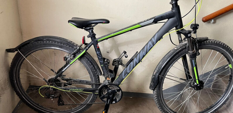 Polizei Bückeburg sucht Eigentümer: Wem gehört dieses Fahrrad?