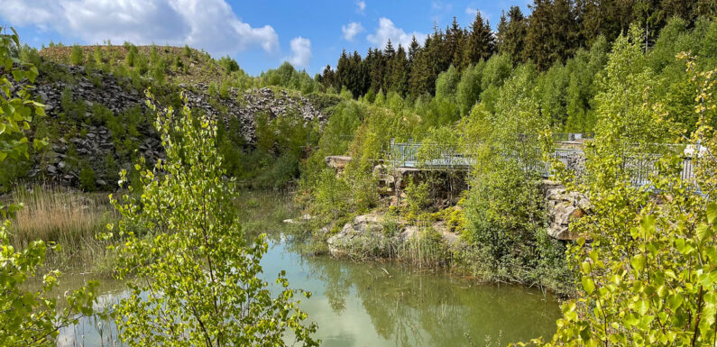 VHS-Exkursion zum Bückeberg