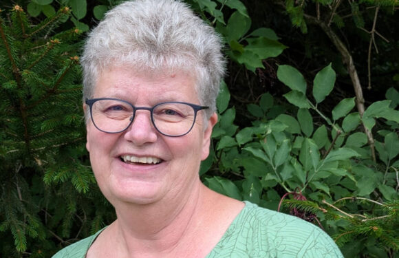 Pilze sammeln, aber richtig: „Pilzführungen in den Krainhäger Wäldern“