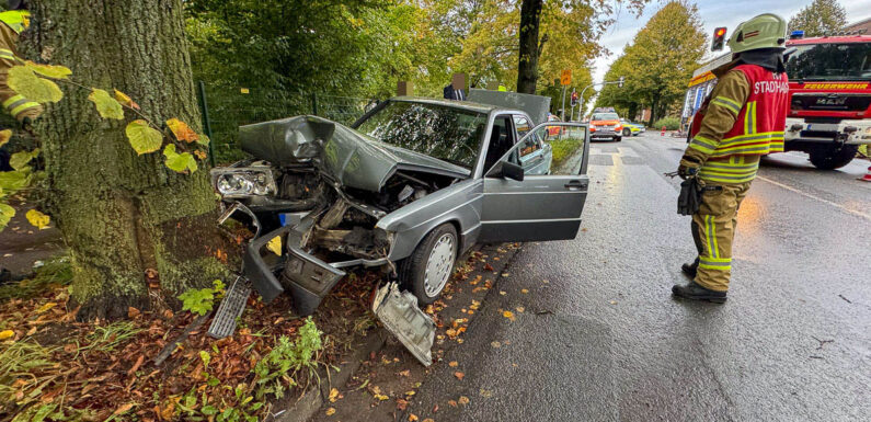 Unfall auf der Jahnstraße in Stadthagen: Mit Mercedes gegen Baum geprallt