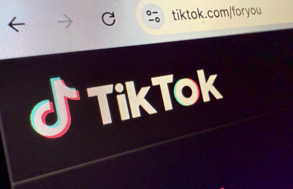Stadthagen: Livestream auf „TikTok“ löst Polizeieinsatz aus