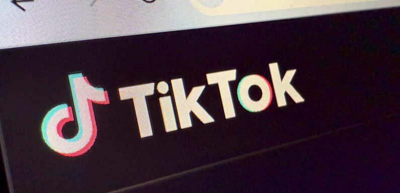 Stadthagen: Livestream auf „TikTok“ löst Polizeieinsatz aus