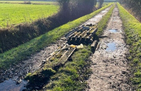 Asbestplatten auf einem Feldweg in Evesen entsorgt