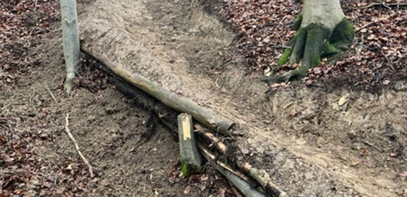 Lauenau: Illegaler Mountainbiketrail im Deister