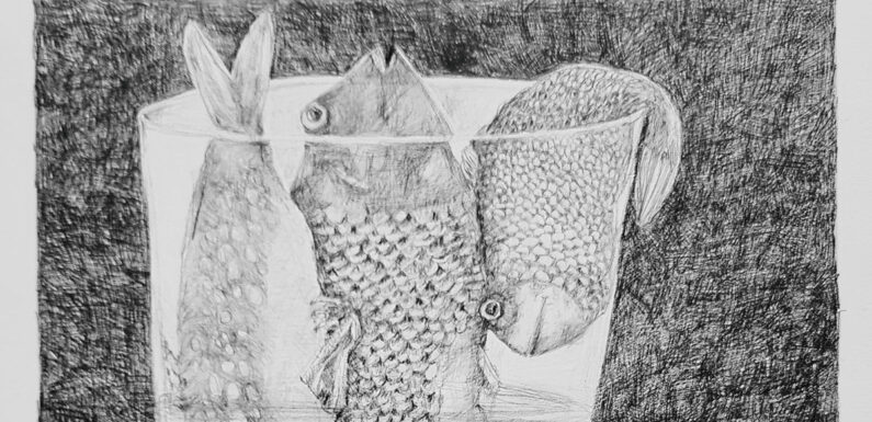 Neue Ausstellung im Wilhelm-Busch-Geburtshaus: „Kleinvieh macht auch Mist“ von Inge Knorr