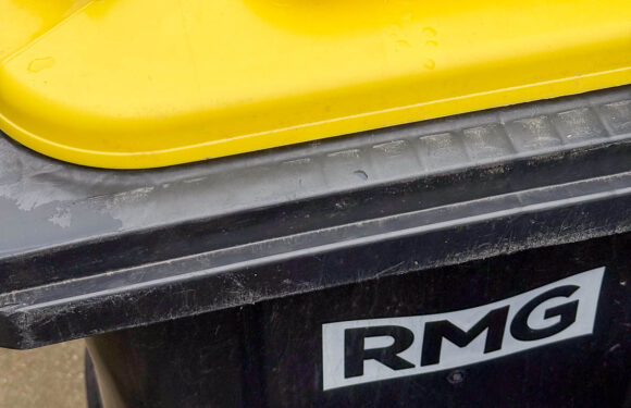 AWS informiert: „RMG ist Ansprechpartnerin zur Gelben Tonne“