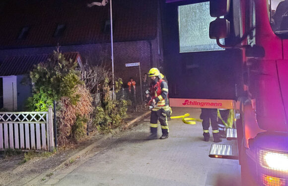 2025 war erst 14 Minuten alt: Heckenbrand in Hagenburg