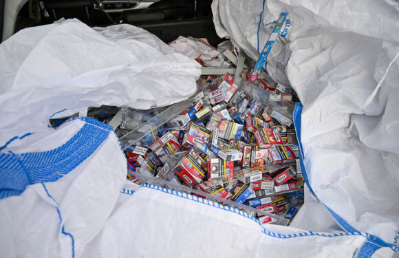 Polizei-Großeinsatz gegen Zigarettendiebe in mehreren Bundesländern