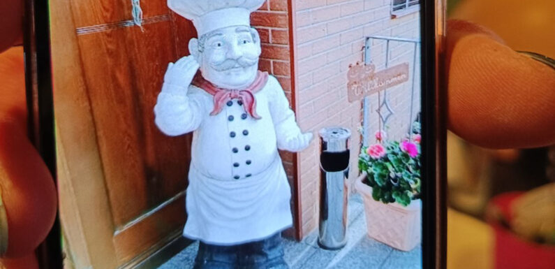 Bad Nenndorf: Wer hat Koch Franz entführt?
