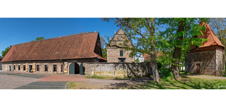 Kulturstadt Stadthagen: Fünf große Kunst-Ausstellungen 2025 geplant