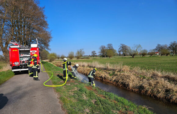 Feuerwehr löscht Flächenbrand in Altenhagen