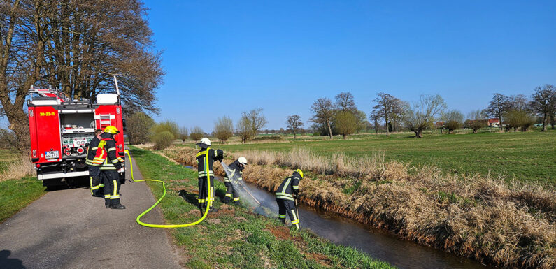 Feuerwehr löscht Flächenbrand in Altenhagen