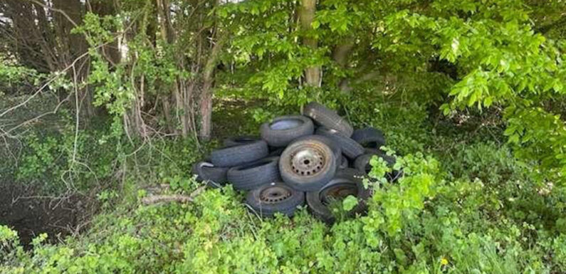 Bückeburg: Reifen und Felgen im Wald entsorgt