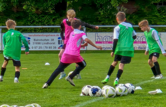 Demo-Training „vom Feinsten“: DFB-Trainerdialog in Lüdersfeld