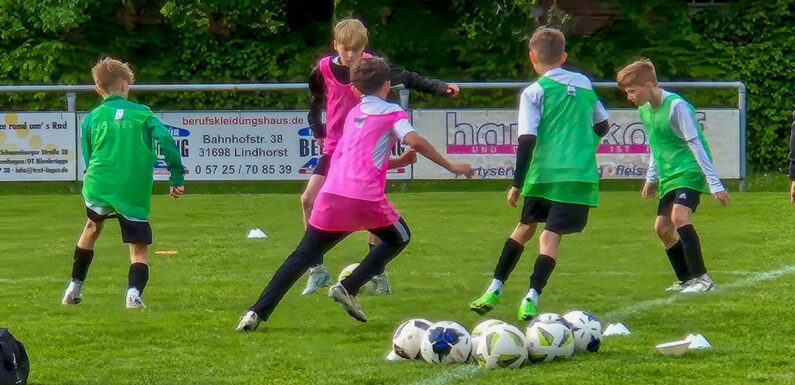 Demo-Training „vom Feinsten“: DFB-Trainerdialog in Lüdersfeld