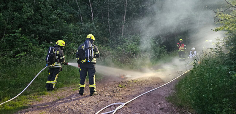 Wiedenbrügge: Grünschnitt brennt am Waldrand