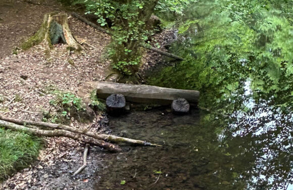 Vandalen schlagen erneut zu: Holzbank an der Schutzhütte Brandshof landet im Teich