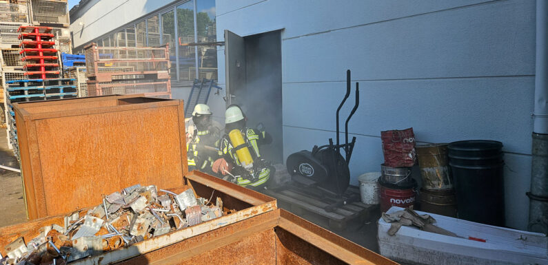 Großübung der Feuerwehr: Werkhalle von Auetaler Palettenservice in Vollbrand