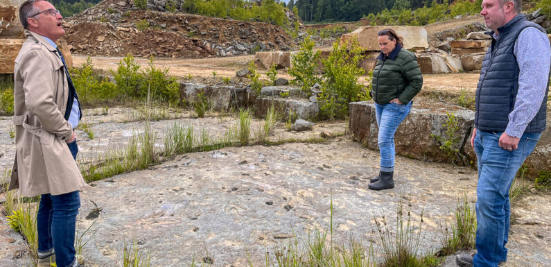 Dinosaurierspuren am Bückeberg: Viel Potential, zahlreiche Ideen, doch wenig Mittel zur Umsetzung