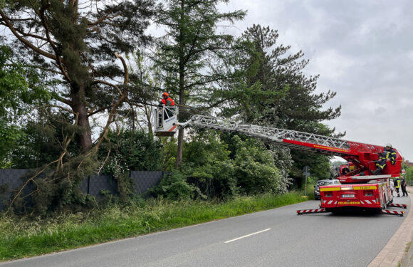 Feuerwehreinsatz in Hagenburg: Ast droht auf die Fahrbahn zu fallen