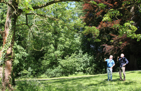 Zurück auf der grünen Bühne: FAUST-Theater inszeniert „Die Mitschuldigen“ im Schlosspark