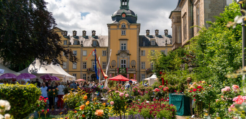„Zuhause in Schaumburg“: 25. Landpartie auf Schloss Bückeburg feierlich eröffnet