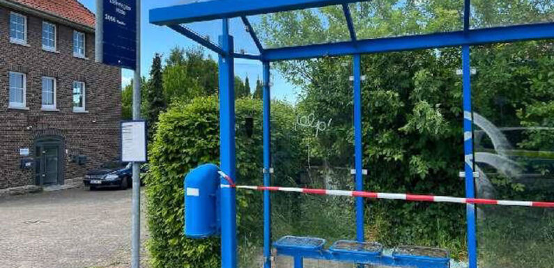 Randalierer richten großen Schaden in Liekwegen an