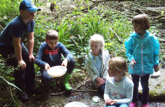 Die Bachdetektive beim Ausflug in Wendthagen