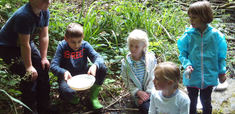 Die Bachdetektive beim Ausflug in Wendthagen