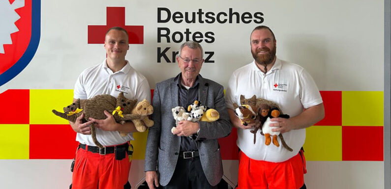 Kuscheltiere für kleine Patienten: Ingrid Krömer näht zehn weitere Trostpflaster für DRK Schaumburg