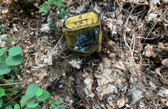 Umweltverschmutzung in Liekwegen: Öl im Wald ausgelaufen